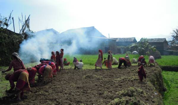Women's communal work group preparing a field for off-season vegetables in Western Nepal. Photo Krishna Adhikari