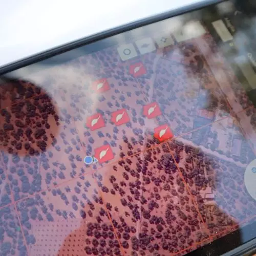 An aerial photo of an olive grove on a screen with mapping
