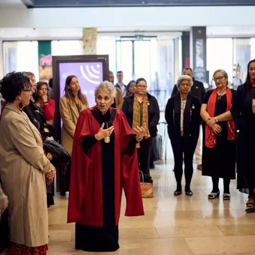Emeritus Professor Ngahuia Te Awekotuku