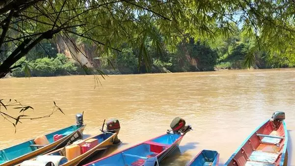 canoes