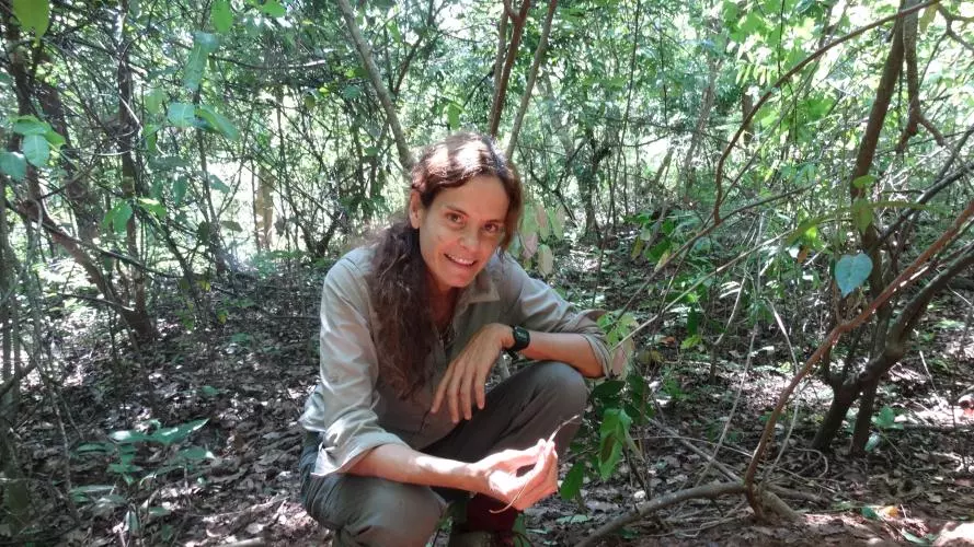 Dr Alejandra Pascual-Garrido