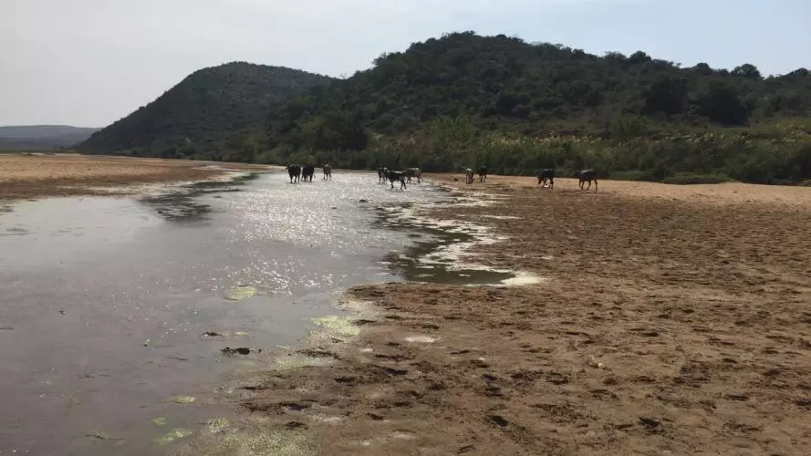 mfolozi river esiyembeni