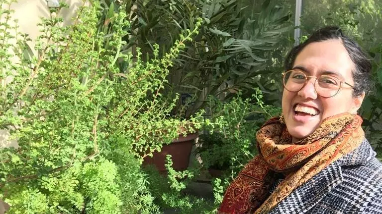 yasmeen arif photo web