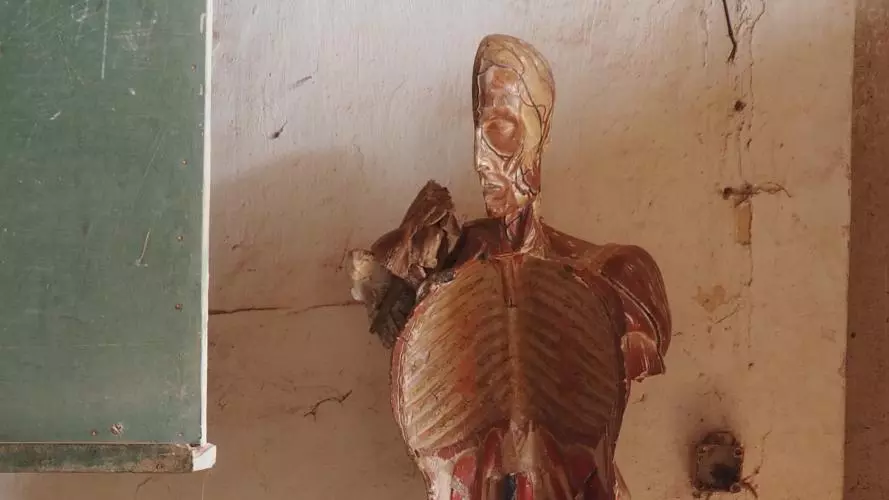 A hollowed model of a human body, showing the inside of the ribcage and half of a skull. Photo credit: Lys Alcayna-Stevens 