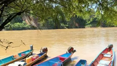 canoes