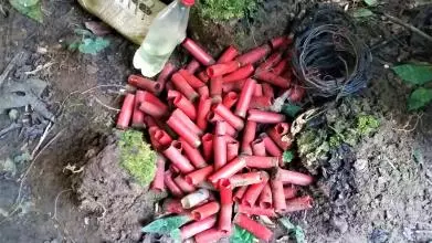 A close up of the forest floor with red shot gun cartridges in a pile, a single white trainer and an empty plastic bottle