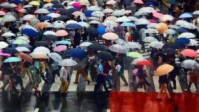 A very busy pedestrian crossing with most people carrying colourful umbrellas