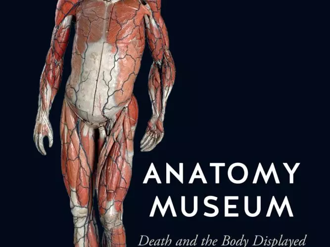 2016 anatomy museum