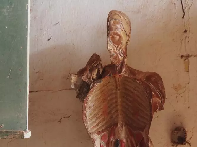 A hollowed model of a human body, showing the inside of the ribcage and half of a skull. Photo credit: Lys Alcayna-Stevens 