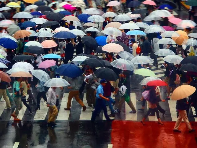 A very busy pedestrian crossing with most people carrying colourful umbrellas