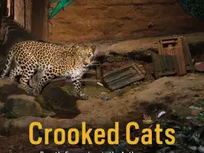 crooked cats
