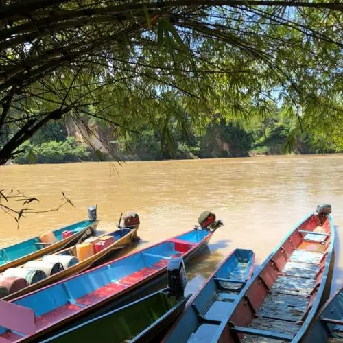 canoes