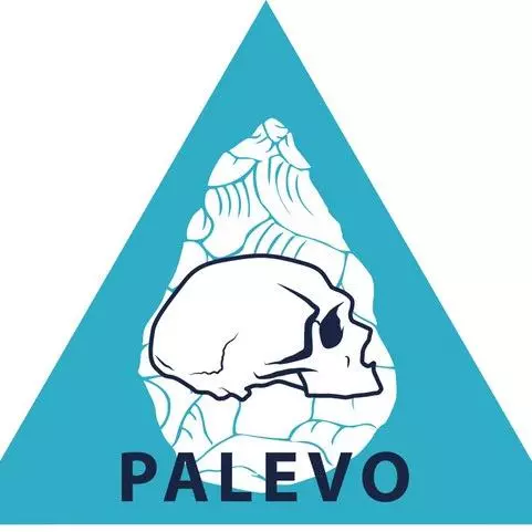 palevo logo