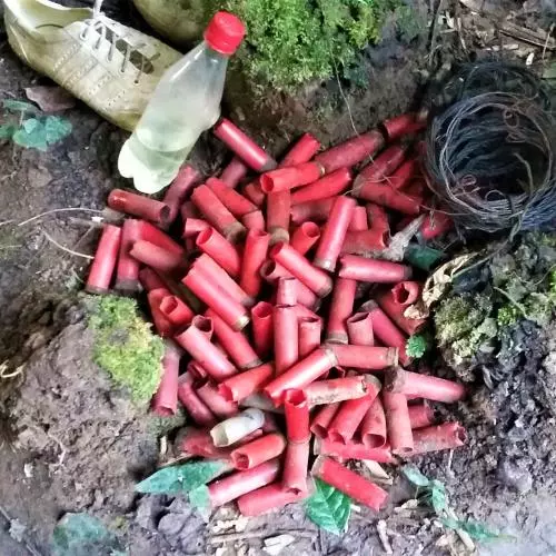 A close up of the forest floor with red shot gun cartridges in a pile, a single white trainer and an empty plastic bottle