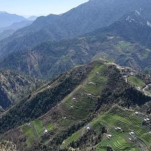 Terraced fields in Baitadi (K.P. Adhikari, 2020)