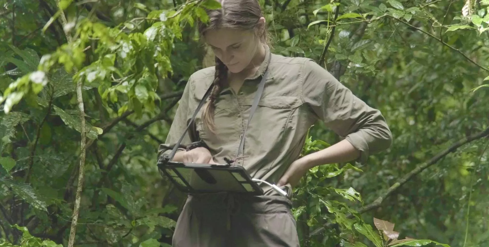 A woman in khaki recording information on a tablet in the forest