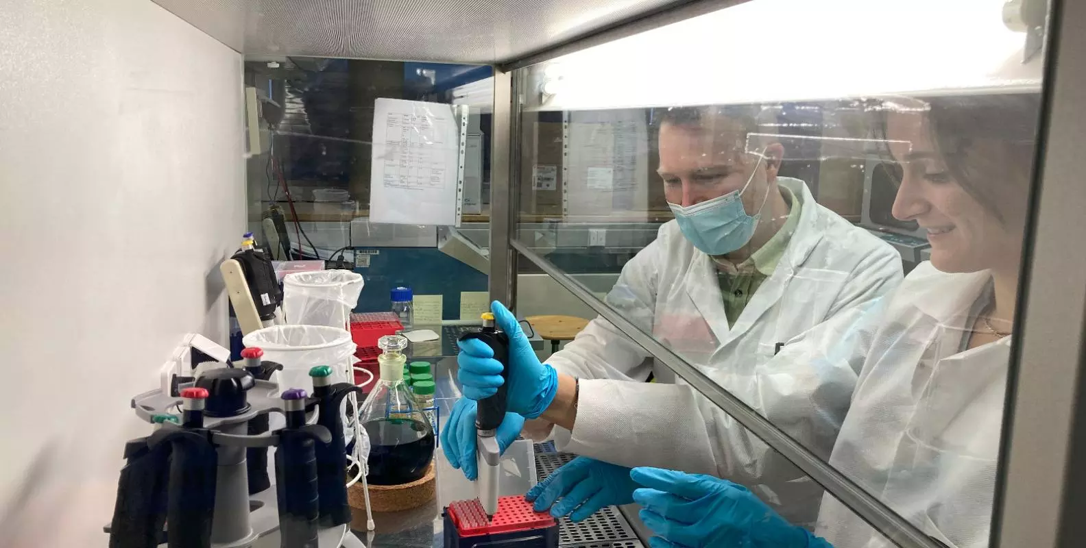 Two scientists in white coats and blue gloves working at a contained clean bench