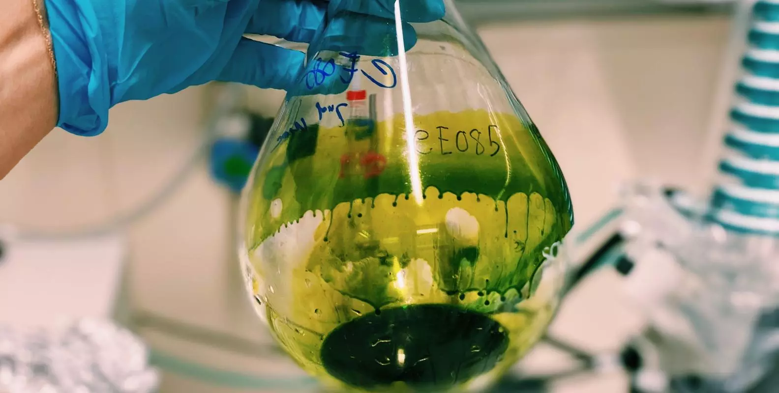 A bright green liquid in a conical flask