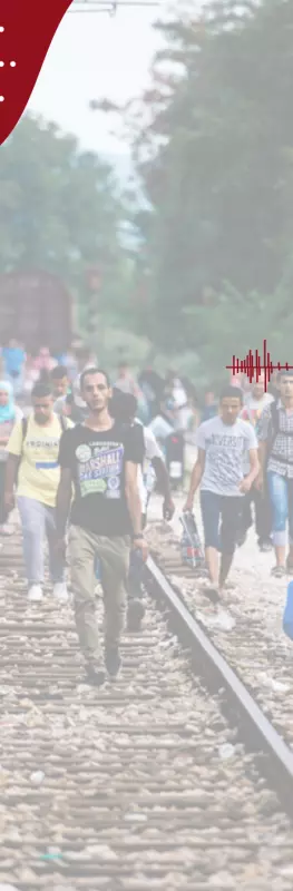 migration sounds