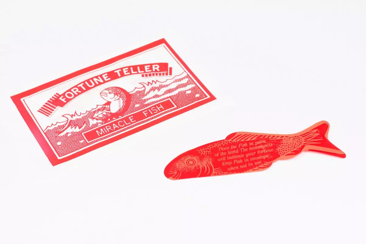 fortune teller fish