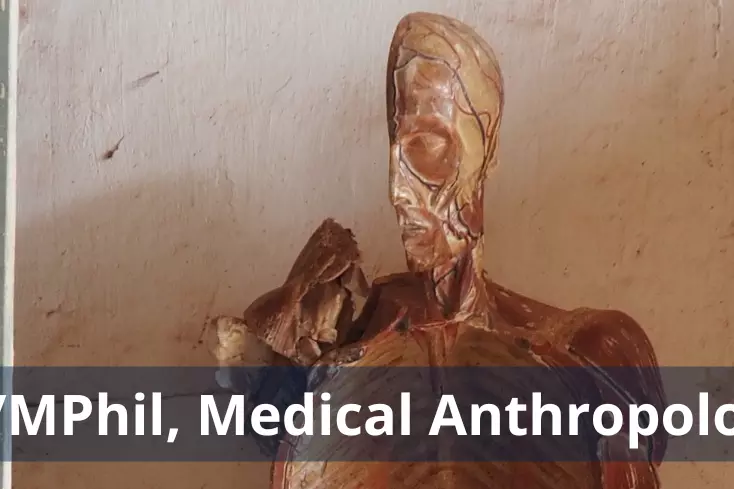 A hollowed model of a human body, showing the inside of the ribcage and half of a skull. At the bottom, white text says 'MSc/MPhil in Medical Anthropology'. Photo credit: Lys Alcayna-Stevens 